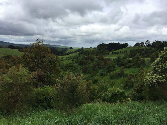 Photo of landscape at Whitehurst in Victoria.