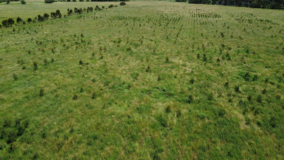 Photo of the landscape at Hiddenvale in QLD.