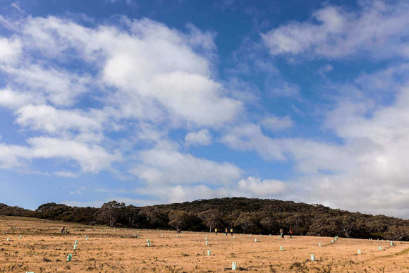 Photo of the landscape at Bull Creek in South Australia.