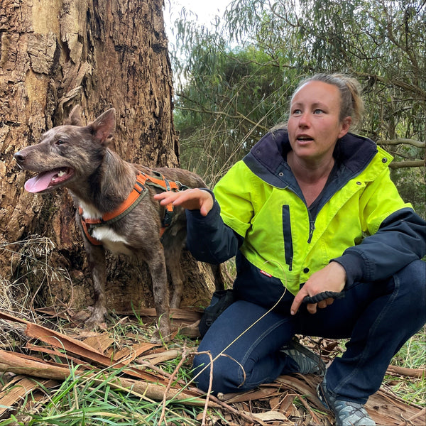 Woman in a bright yellow jacket kneeling next to a dog by a tree