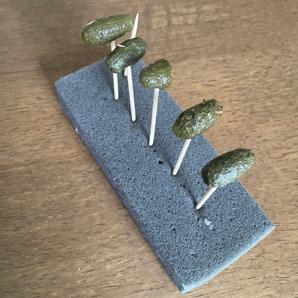 koala scat on toothpicks over a gray sponge on a wooden surface