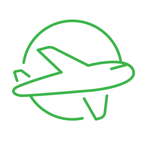 Green icon of airplane. Flight Offset - INTERNATIONAL LONG Return Flight (9.9 tonnes of CO2-e)