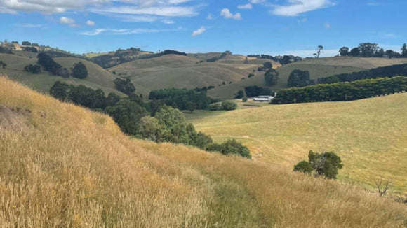 Photo of the landscape at Bromfield Road in Victoria.