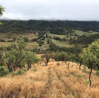 Photo of the landscape at Cherry Gully in QLD