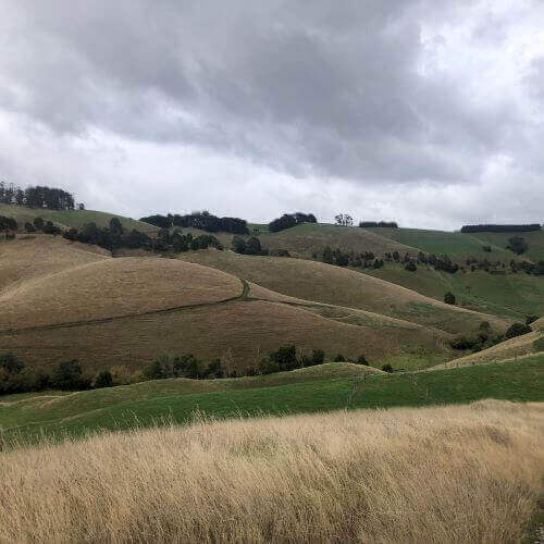 Photo of the landscape at Glendalough in VIC