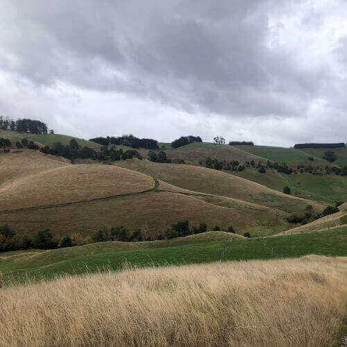 Photo of the landscape at Glendalough in VIC