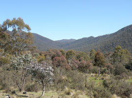 Namadgi National Park, ACT