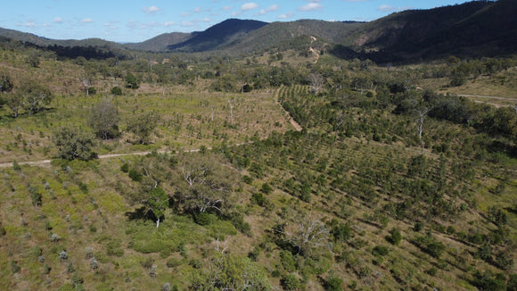 Ivory Creek, QLD