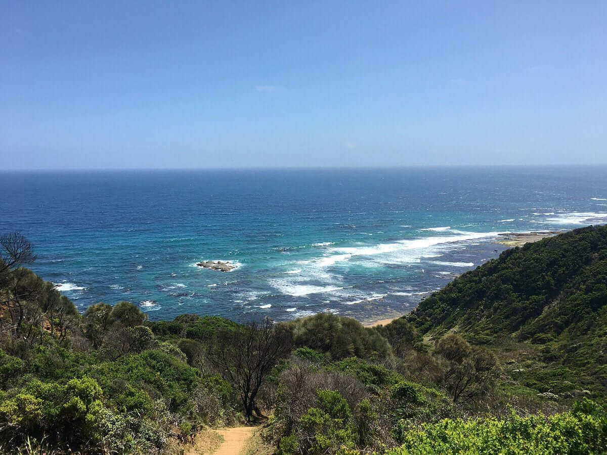 Photo of the landscape at Johanna in VIC