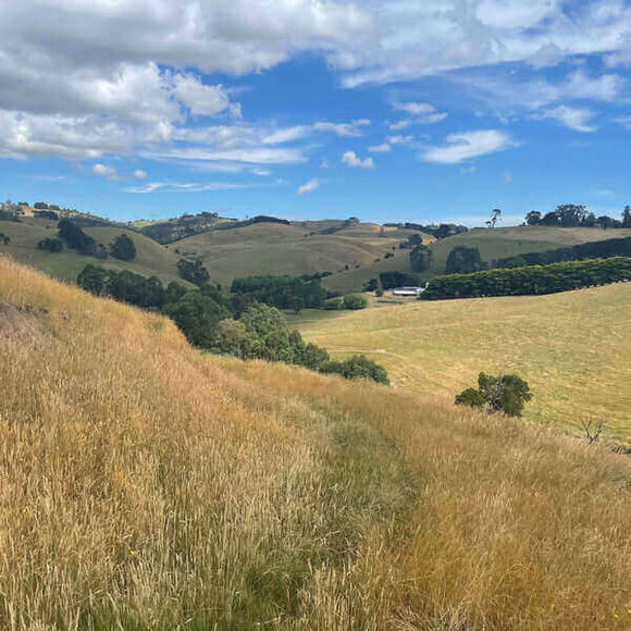 Photo of the stretch between properties at Strzelecki Nature Link.