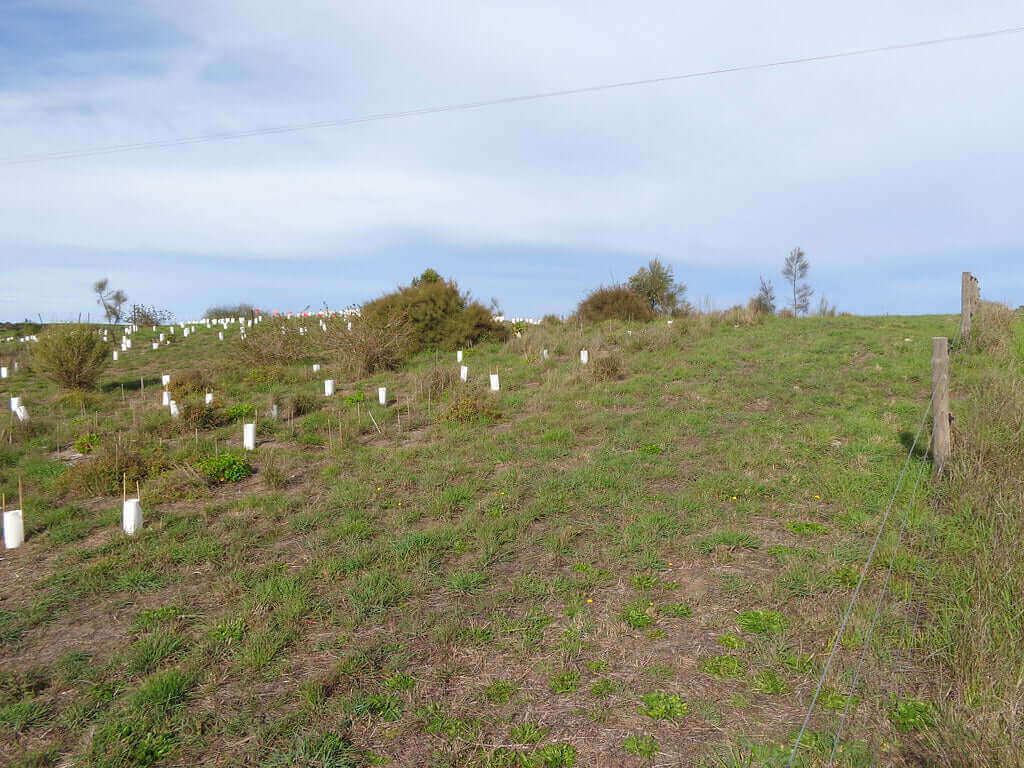 Photo of the landscape at Point Sturt in SA