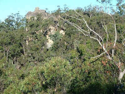 Photo of the landscape at Brinkley in SA.