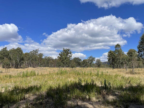 A photo of the landscape at Browns Creek in Queensland.