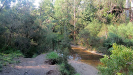 Photo of Cardinia Creek landscape with bright foulage. 