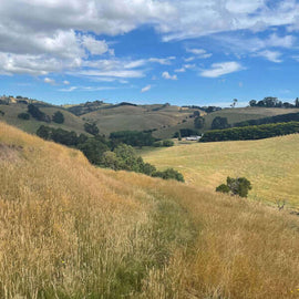 Photo of the stretch between properties at Strzelecki Nature Link.