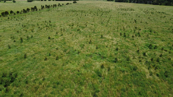 Photo of the landscape at Hiddenvale in QLD.