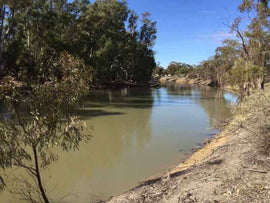 Photo of the landscape at Niemuroo in NSW.