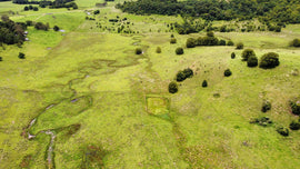 Photo of the landscape at Spurfield Road in NSW.