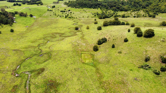 Photo of the landscape at Spurfield Road in NSW.