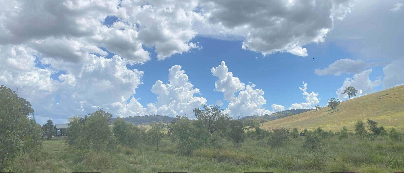 Photo of the landscape at Coopers Crossing in NSW.