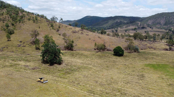 Photo of the Ivory Creek landscape in QLD.