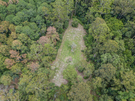 Landscape image of Dangerbridge site in QLD.
