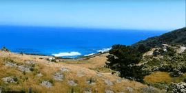 Landscape image of a Greenfleet sight that looks over the ocean. 