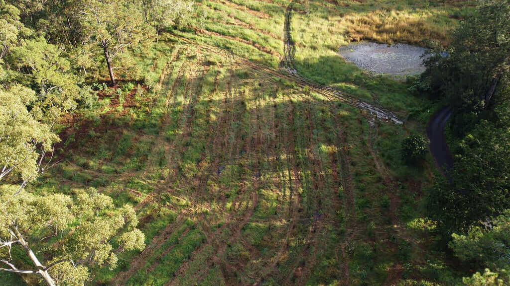 Photo of the landscape of the Witzend site in NSW