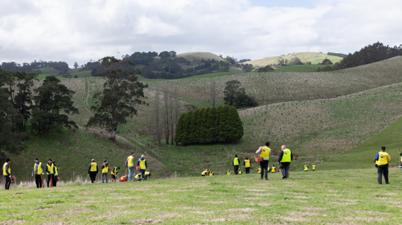 Restoring Nature With Our Supporters