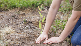 World Environment Day 2026