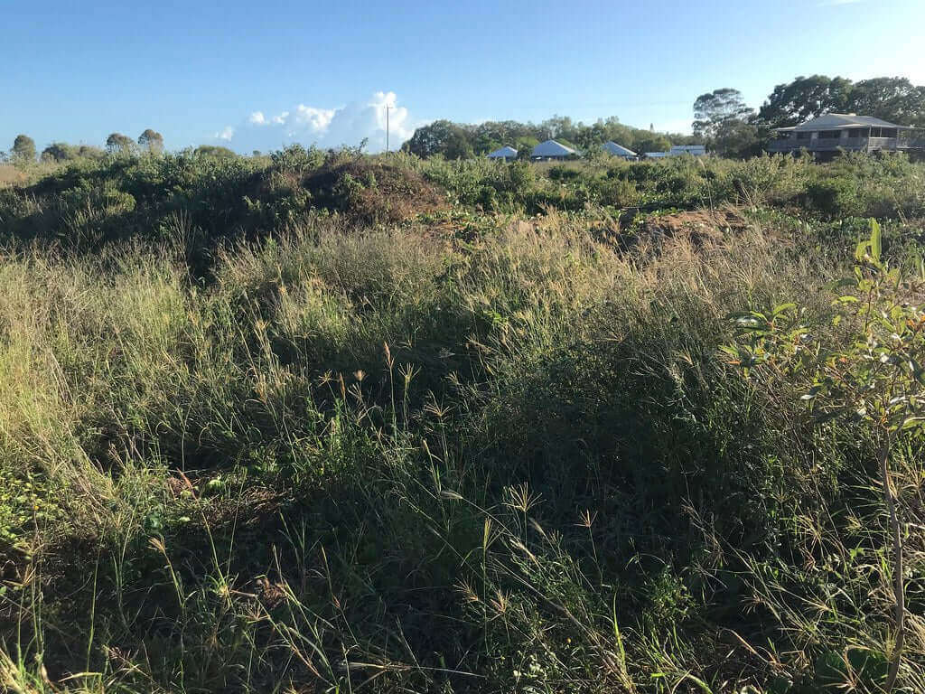 Photo of the landscape at Barolin Nature Reserve in QLD