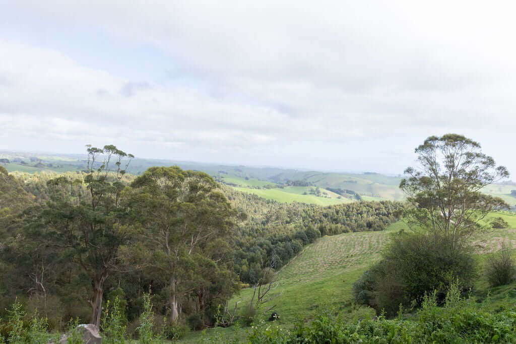 landscape view of rolling hills at Mt Emily.