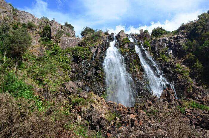 Photo of the landscape at Waratah Bushland Reserve in VIC