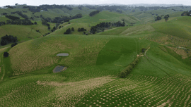 Landscape image of green forest and rolling hills.