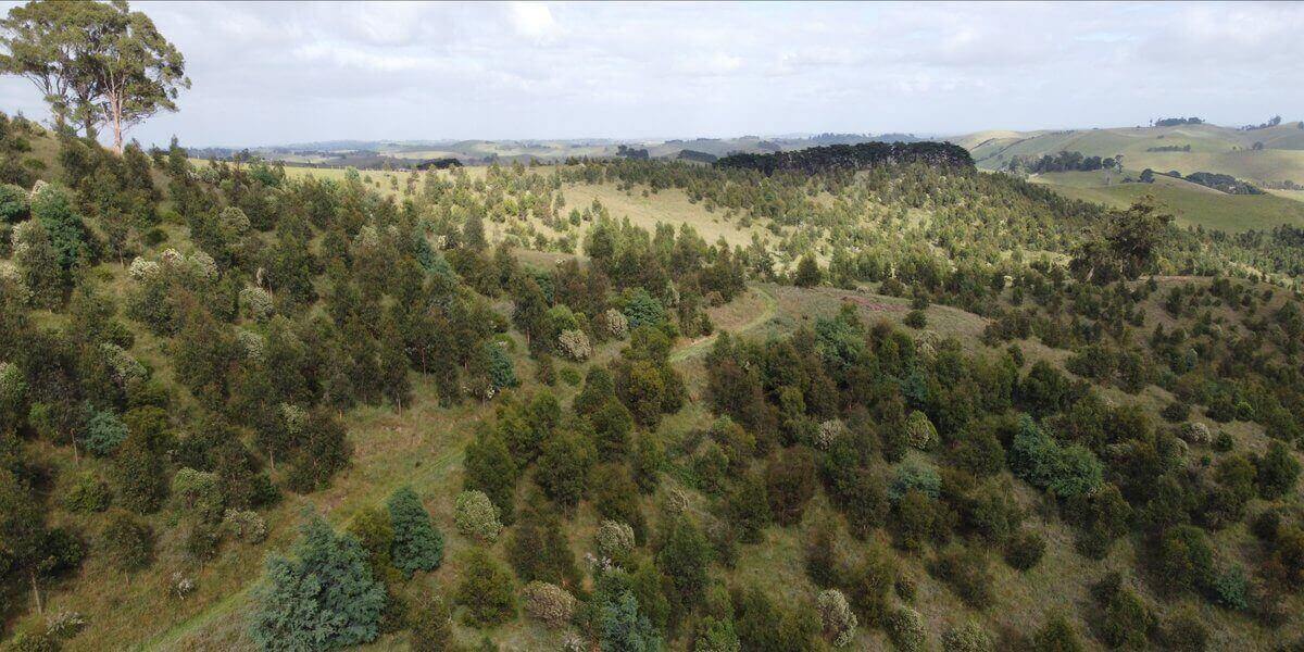 Photo of the landscape at Gunningbar in NSW.