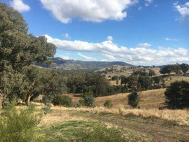 Photo of the landscape at Australia Light Horse Memorial Park in Seymour VIC