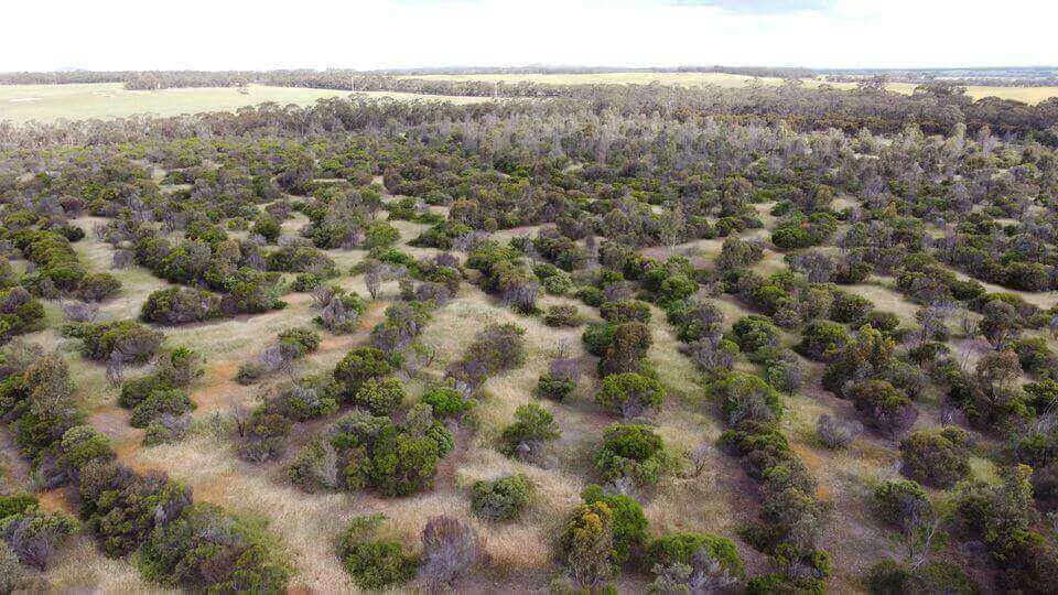 Photo of the landscape at Ploughshare in VIC