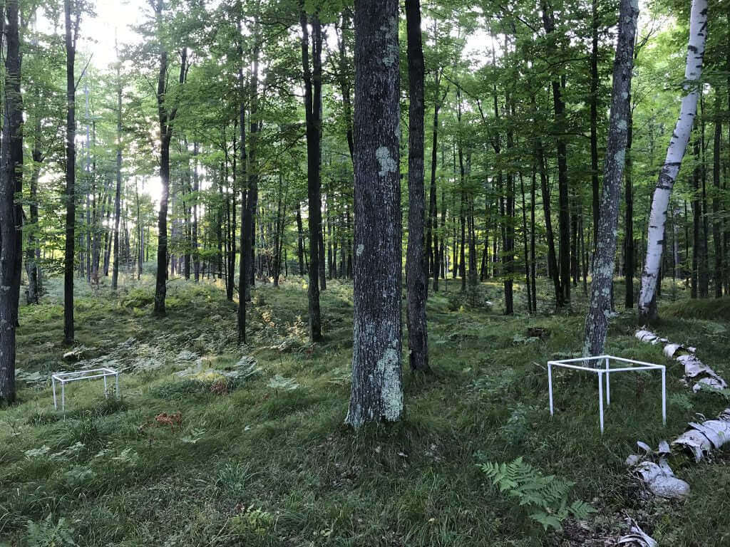 Photo of the landscape at Matsubayashi Nojo in NSW.
