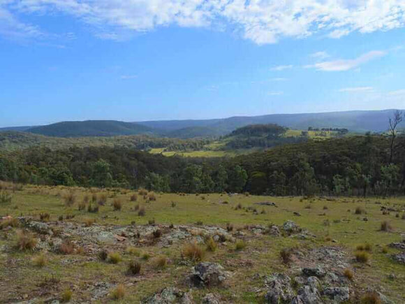 Photo of the landscape at Back O'Slaters, NSW.