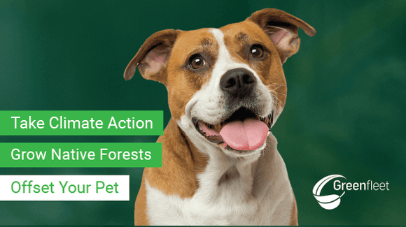 Image of dog with text over layer for Greenfleet's Pet Offset product