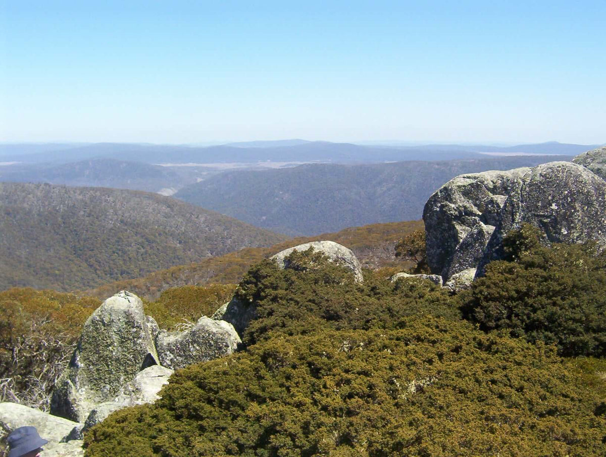 Photo of the landscape at Namadgi National Park, ACT.