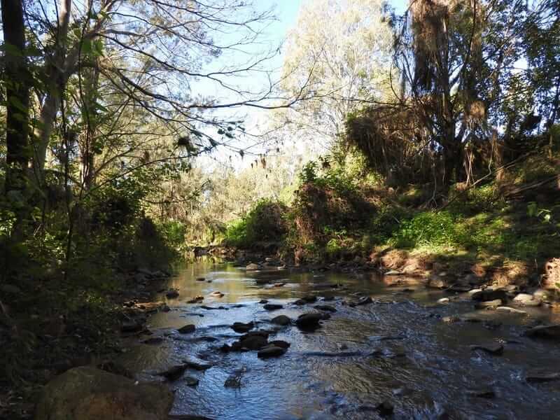 Photo of the landscape at Hillview in NSW.