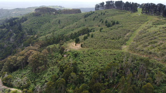 Photo of the landscape at Jumbuk in Victoria.