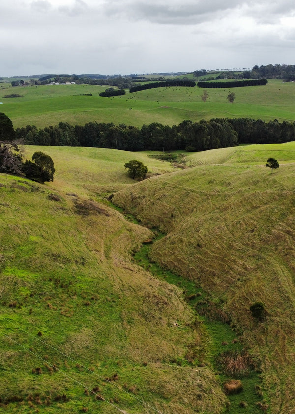 Aerial view of green rolling hills with trees under a cloudy sky.