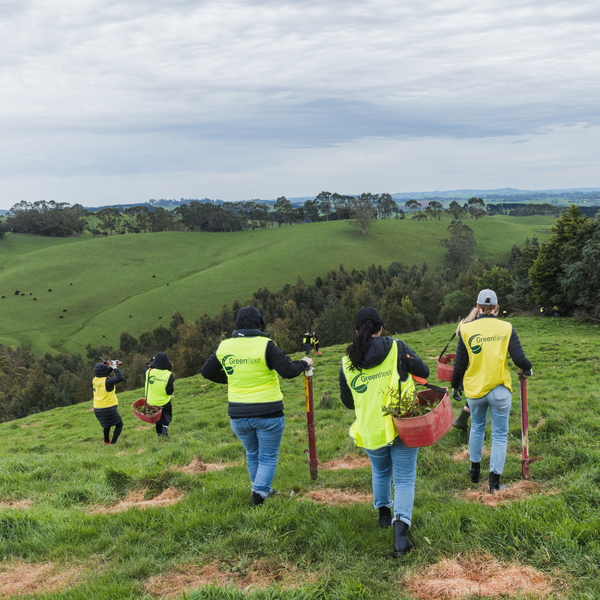 Group of people in high-visibility vests walking on a grassy hill with tools, set against a scenic landscape.