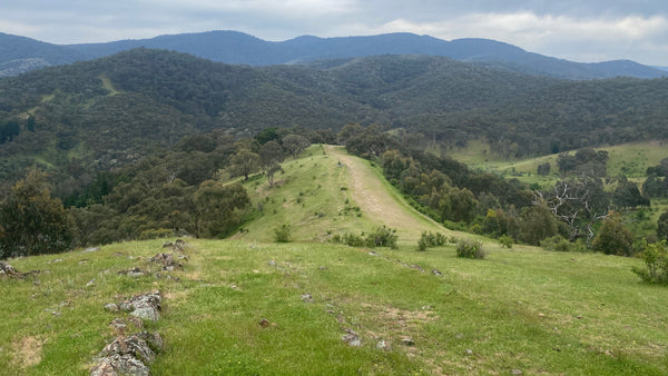 Scenic view of a grassy hill with distant mountains under a cloudy sky