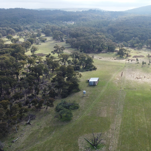 Aerial view of a rural landscape with fields, trees, and a building.