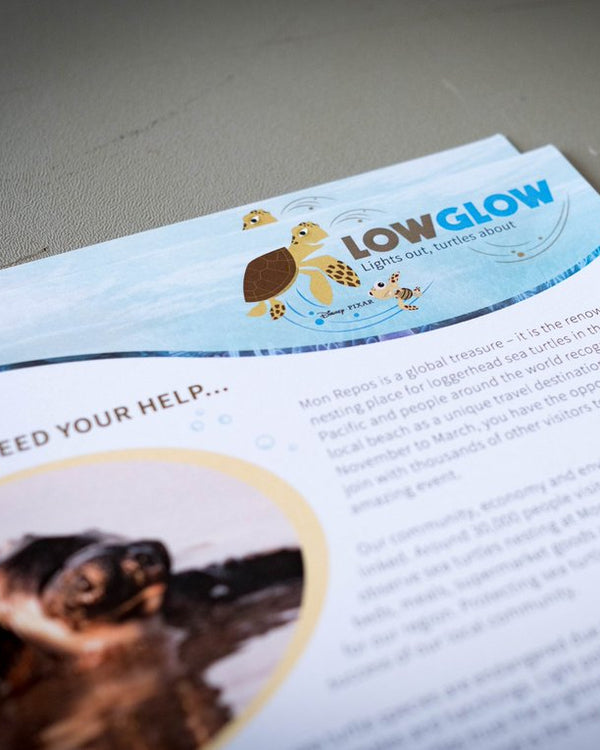Brochure with 'Low Glow' logo and turtle images on a gray surface