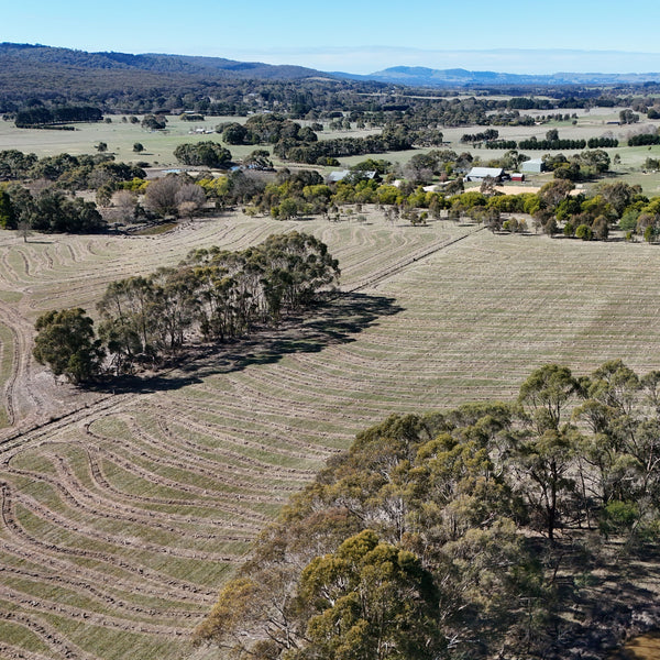 Aerial view of a rural landscape with fields, trees, and distant hills.