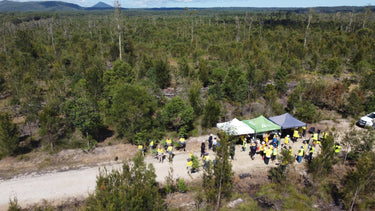 An aerial view of a planting day. Between low trees, we see marquees and lots of people wearing hi vis vests crowded around them. 